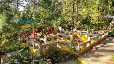 바기오 Baguio Botanical Garden 주변 베스트 리조트 10 곳.